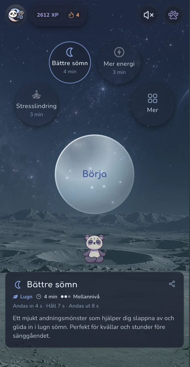 Brizzy app: a starry moon landscape, a glass bubble to start breathing and a meditating panda